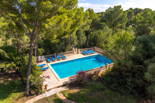 Pool surrounded by nature