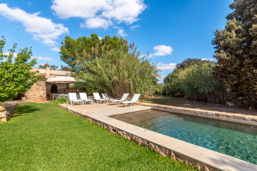 Beautiful natural stone pool