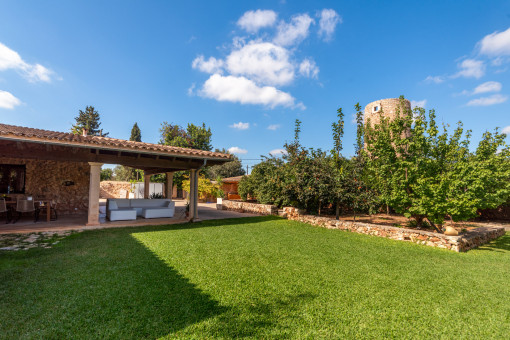  Large lawn