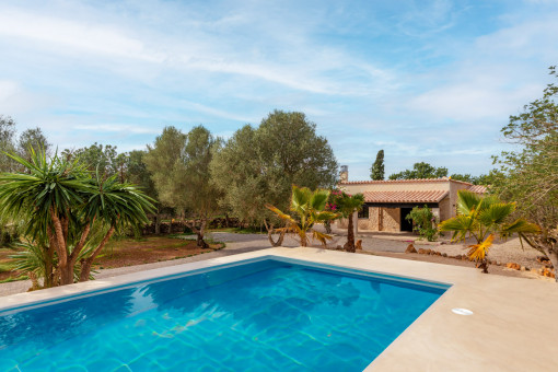 Pool area overlooking the garden