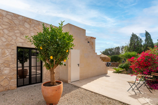 Sunny terrace surrounded by nature