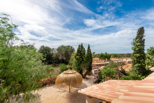 View from the roof terrace