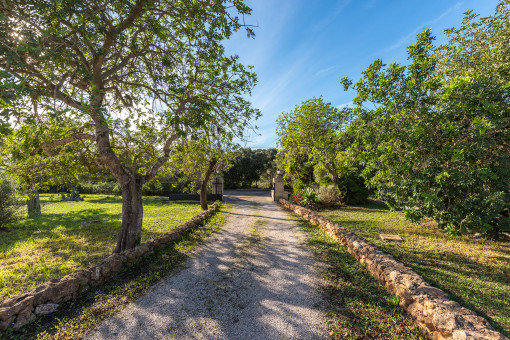 Drive leads to the finca