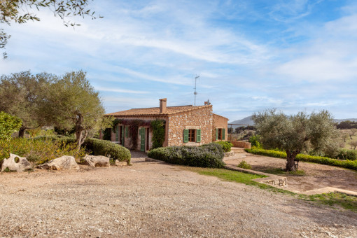 Exterior view and outdoor area