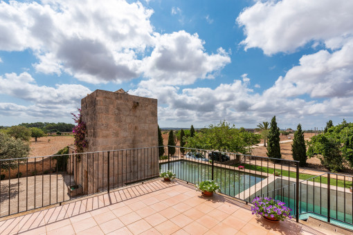 View from the upper terrace