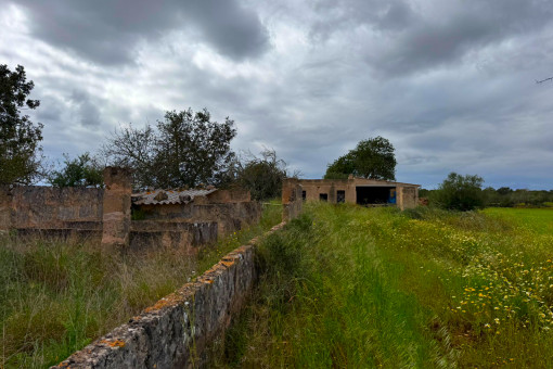 Finca Project Campos