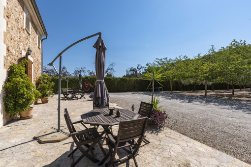 Terrace from the finca