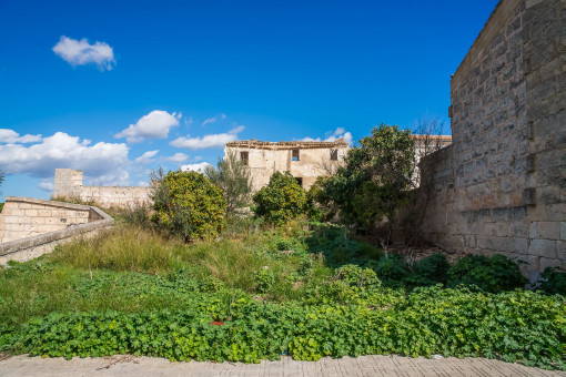 plot in Santa Margalida