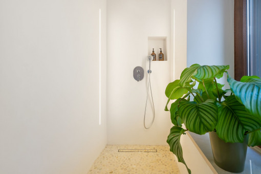 Modern shower bathroom