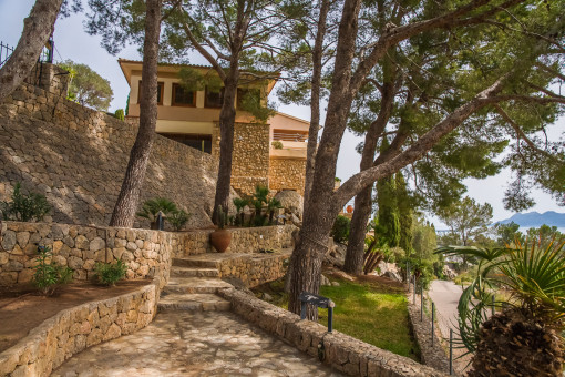 Mediterranean garden