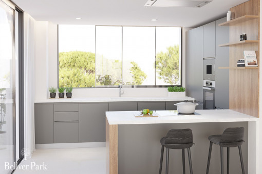 Modern quality kitchen