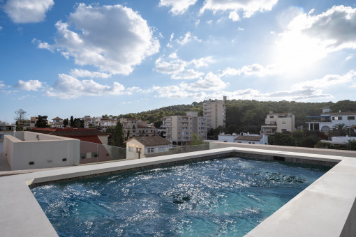 apartment in Son Armadams