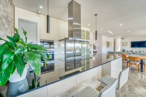 Modern open plan kitchen