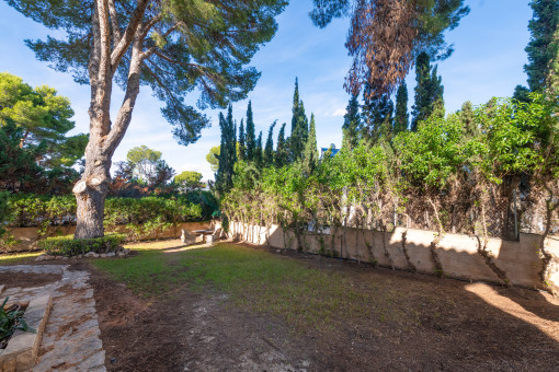 Well-kept garden with greenery and tranquility