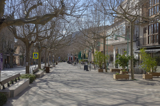 Main road of Esporles