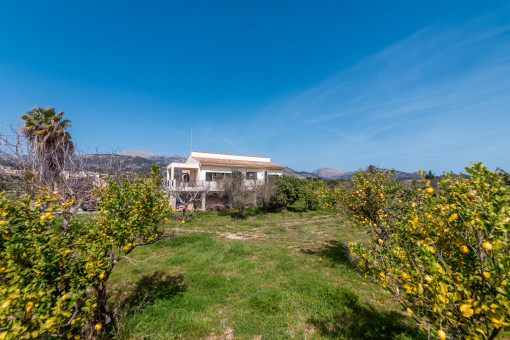 finca in Selva for sale