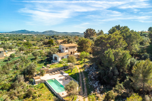 View from above