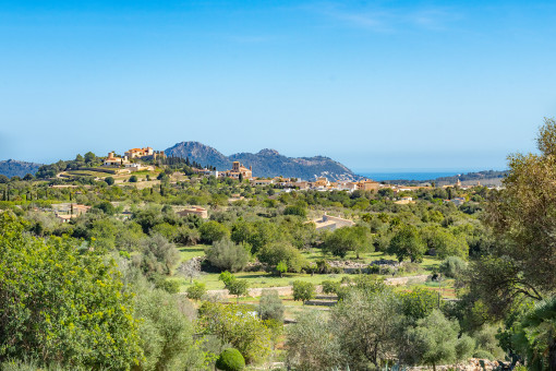View