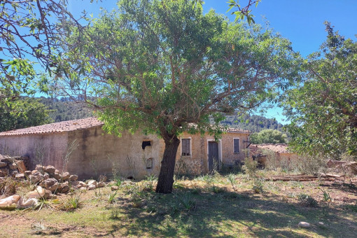 Finca project in a dreamlike hilly landscape with mountain views near Alaró