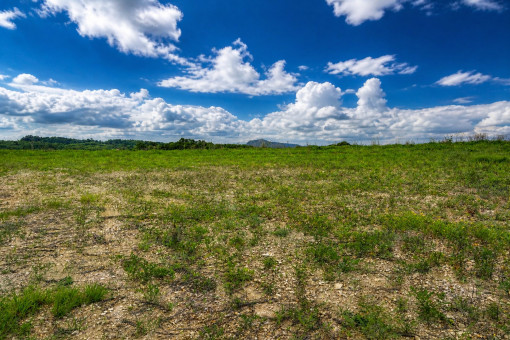 Building plot nestled in the idyllic tranquillity of the Mallorcan countryside of Son Macia (autumn)