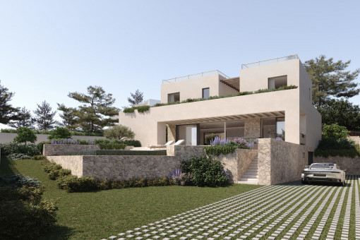 plot in Cas Catala