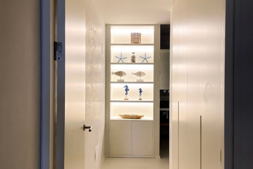 Bright apartment