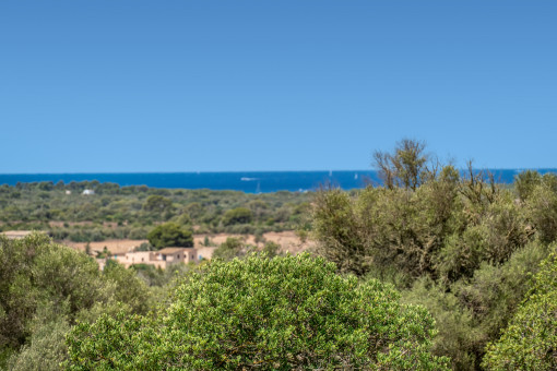 Sea view