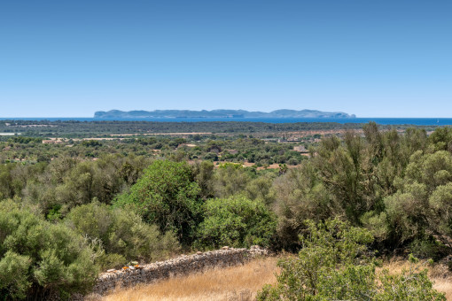 View to Cabrera