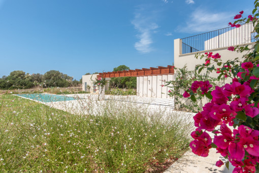 Spacious terraces
