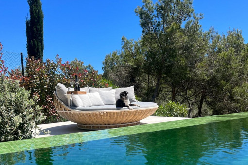 house in Sol de Mallorca