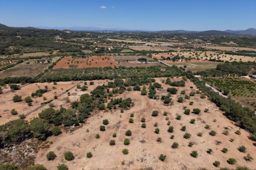 Panoramic view