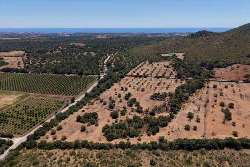 Birdview