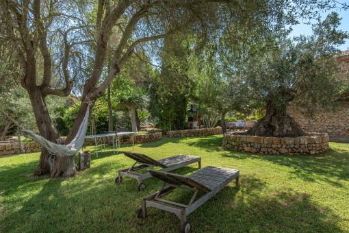 Mature garden