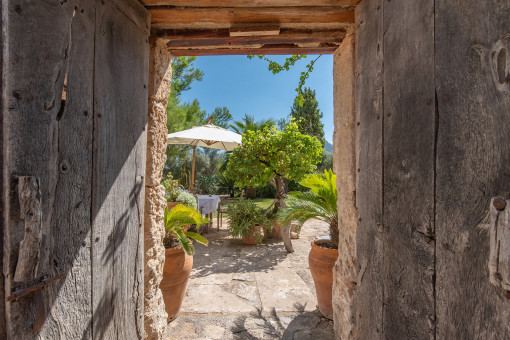 View at the garden