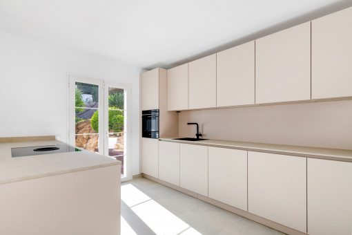 Modern designer kitchen