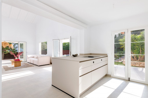 Modern kitchen island with terrace access