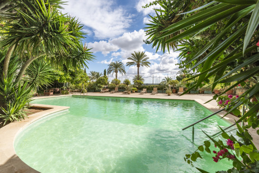 Beautifully renovated, truly unique apartment with magnificent views over Palma Harbour