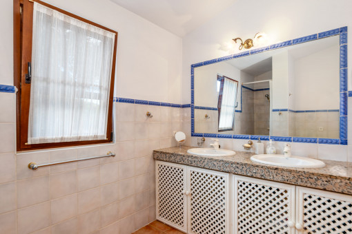 Bathroom in the left wing