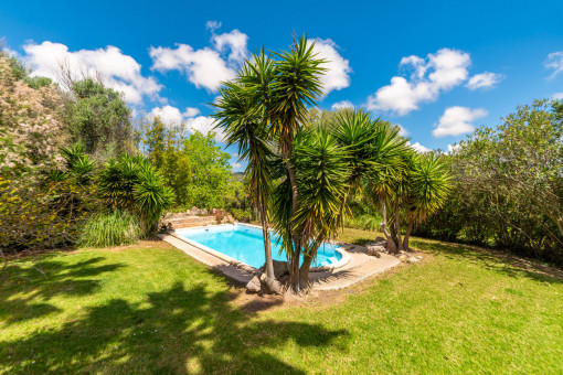 Pool and garden