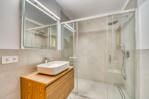 Bathroom with walk-in shower