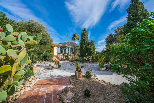 Lush garden area