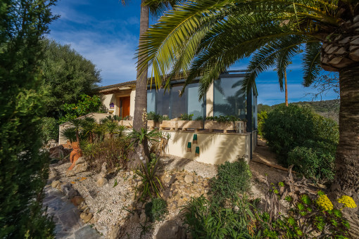 Garden with palm trees and natural views
