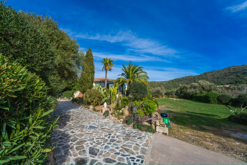 Mediterranean garden