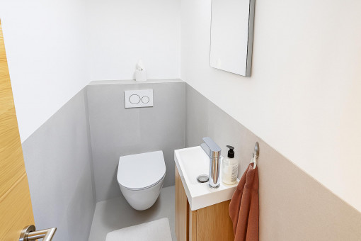 Guest bathroom