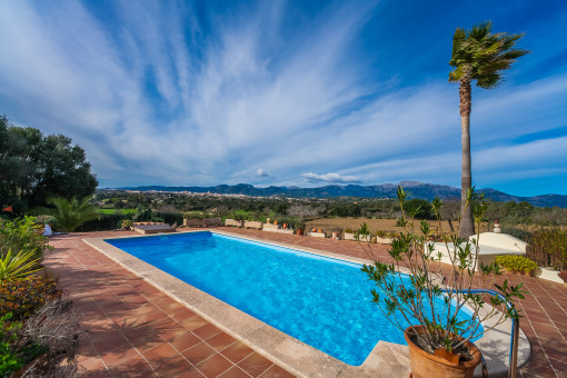 Pool area with palm trees