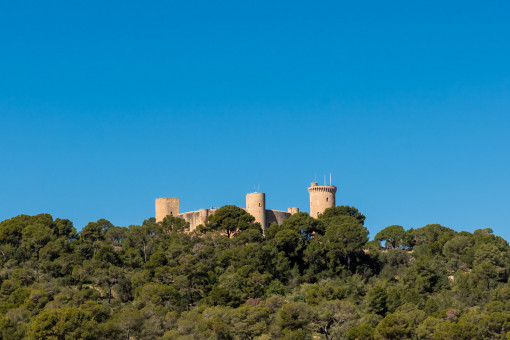 View to castle Bellver