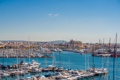 View to harbour
