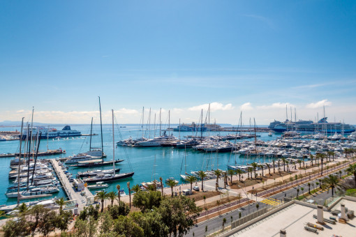 Bright Studio Apartment with Balcony and Sea View on Palma's Paseo Marítimo