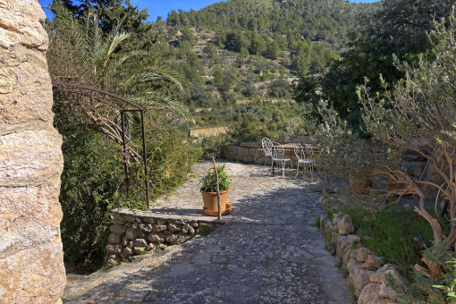 Terrace areas with views