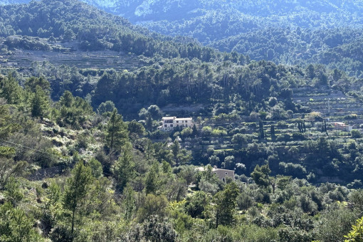 In the middle of the nature